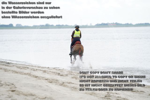 s_K3F04813.JPG